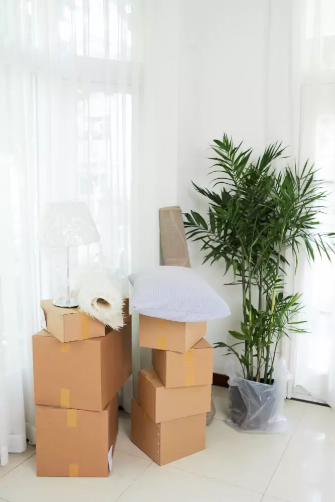 House Movers Newcastle